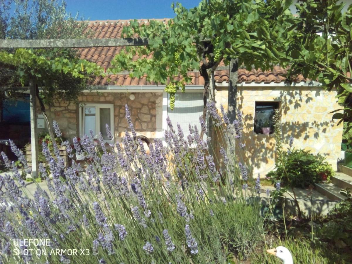 Apartmans Lavanda Island Hvar Stari Grad  Exterior photo